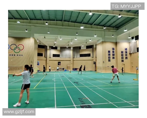 杭州羽毛球队挑战赛表现分析与状态评估全面解读